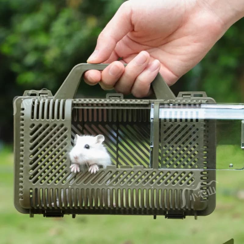 Borsa da viaggio portatile per criceti per mini e razze sirie e alianti di zucchero Trasportino per animali domestici in rete per viaggi all'aperto Regalo per la casa per bambini