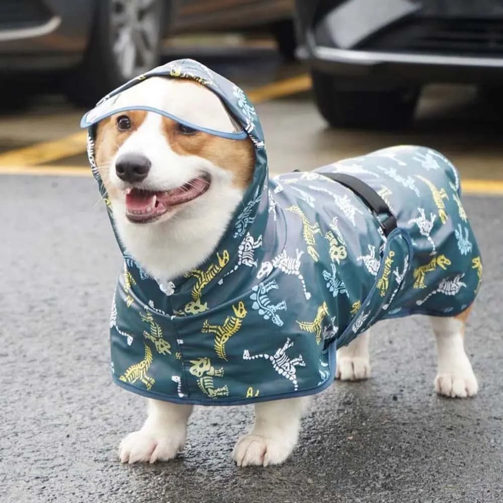 Cappotto per Cuccioli Tutto Incluso M-9XL, Abbigliamento per Cani, Impermeabile per Cani, Giacca Antipioggia per Animali Domestici, Vestiti per Cani, Accessori per Animali