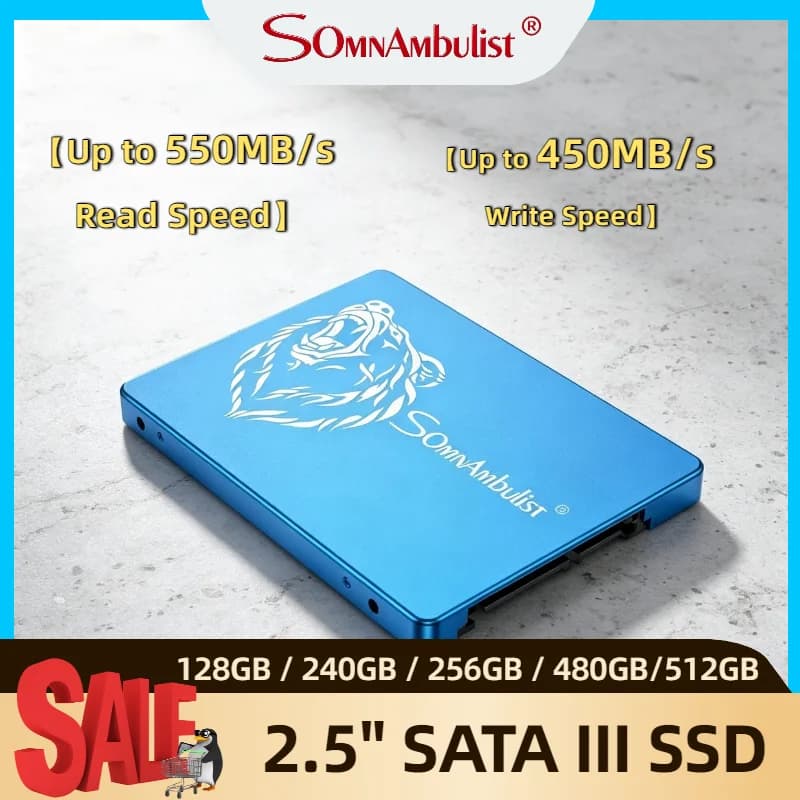 SomnAmbulist 2.5 Inch SATA Interface SSD 1TB Large Capacity Solid State Drive for Laptop Desktop High Speed Internal Storage Pro