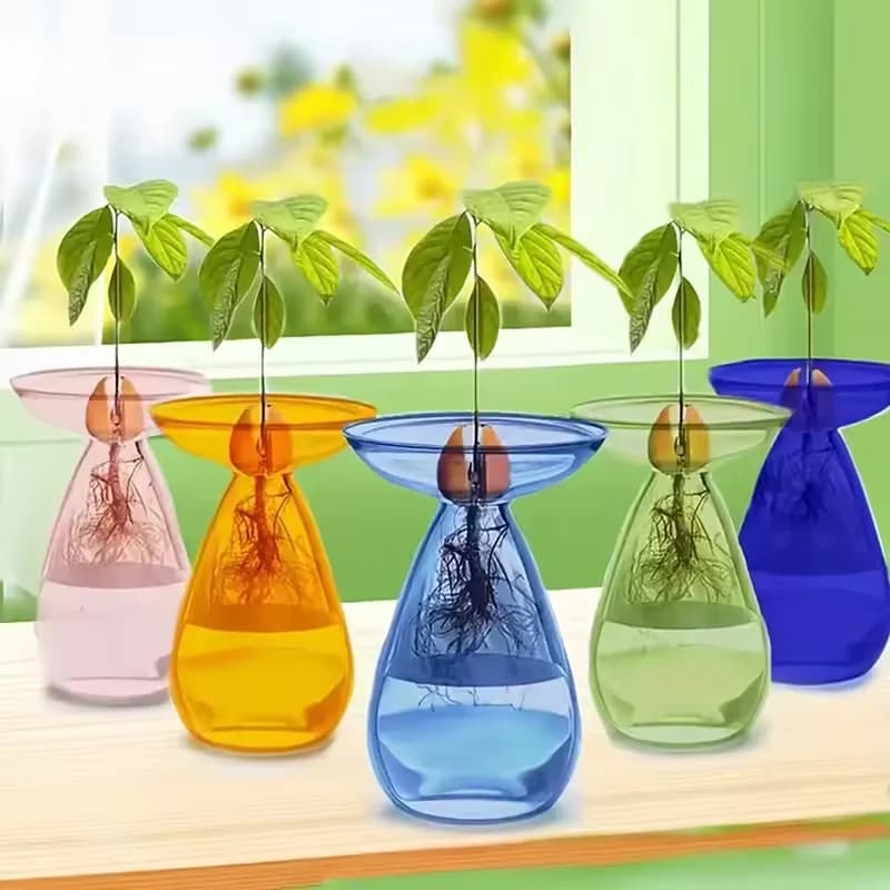 Vaso Idroponico per Avocado, Stazione di Propagazione Trasparente, Vaso in Vetro per Semi di Avocado, Decorazione per Casa e Giardinaggio
