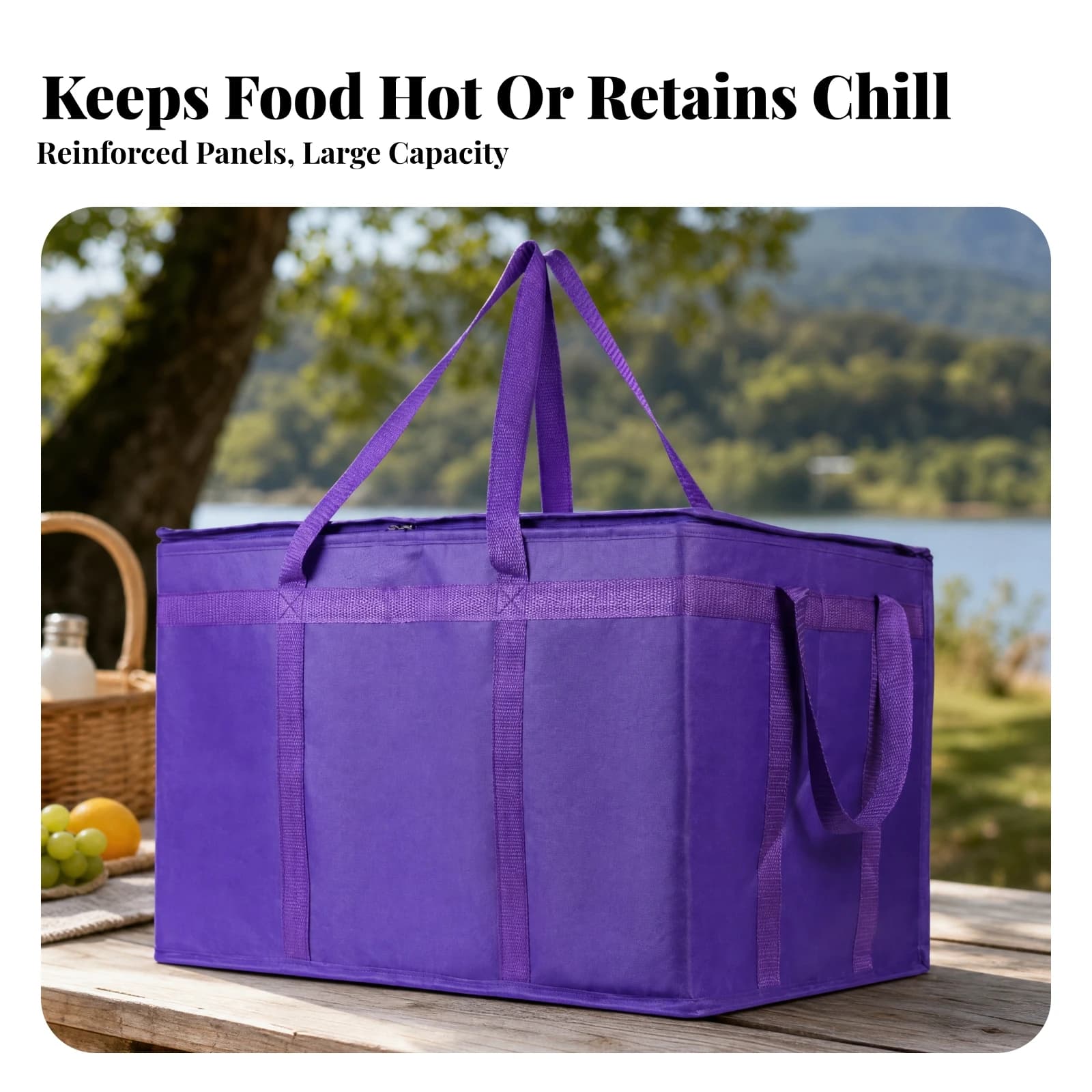 Picnic Container Tote Long-Lasting Insulated Food Bag Meal Prep Carrier Spacious for Takeaway Delivery, Outdoor Picnics