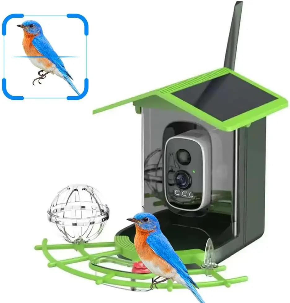 Intelligent Bird Eating Machine with Live 2K Vision, AI Recognition, 8L Solar Camera, Waterproof Design and Anti-Scoil for Birdwatching