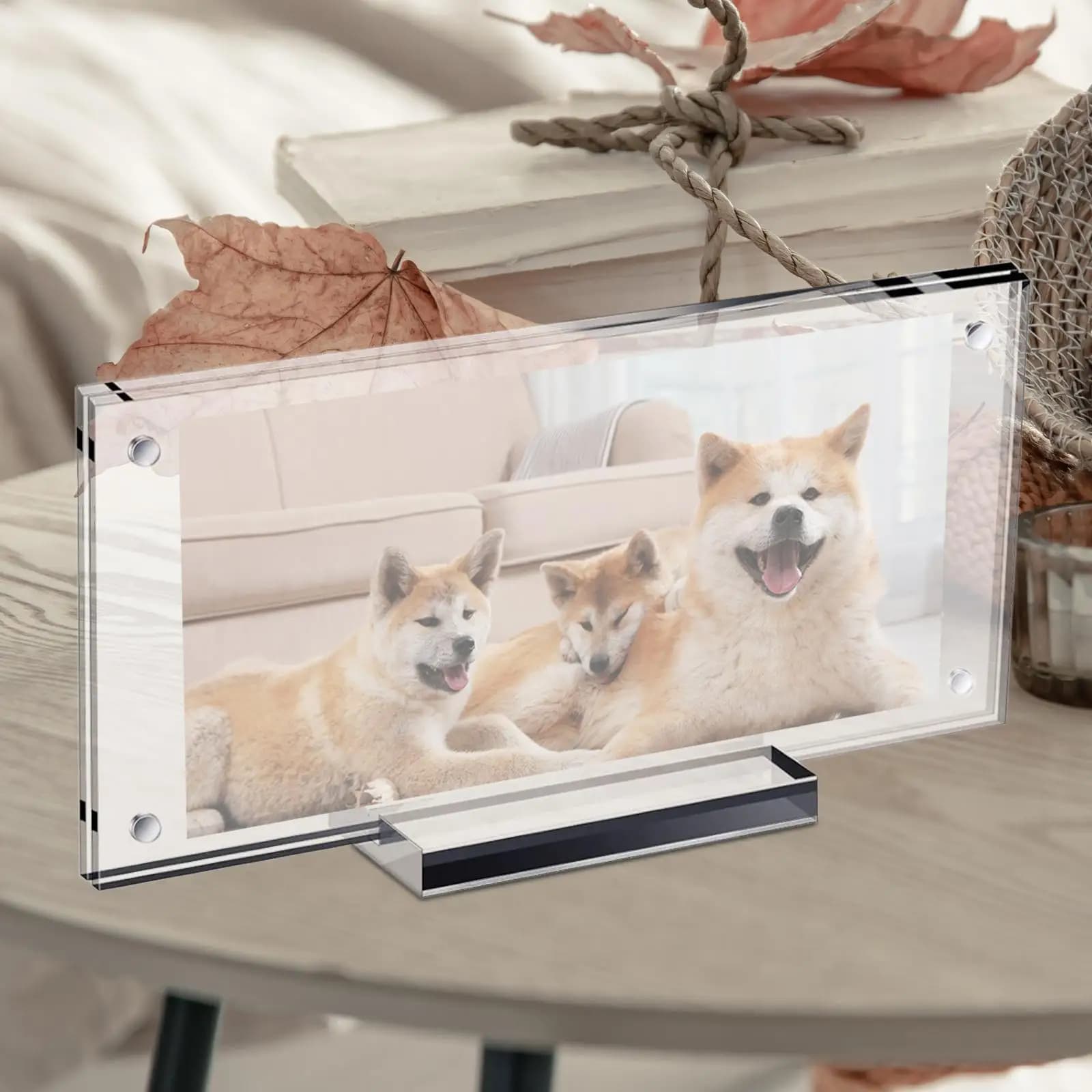 One dollar banknote photo holder, with sturdy wear-resistant transparent acrylic display for collection