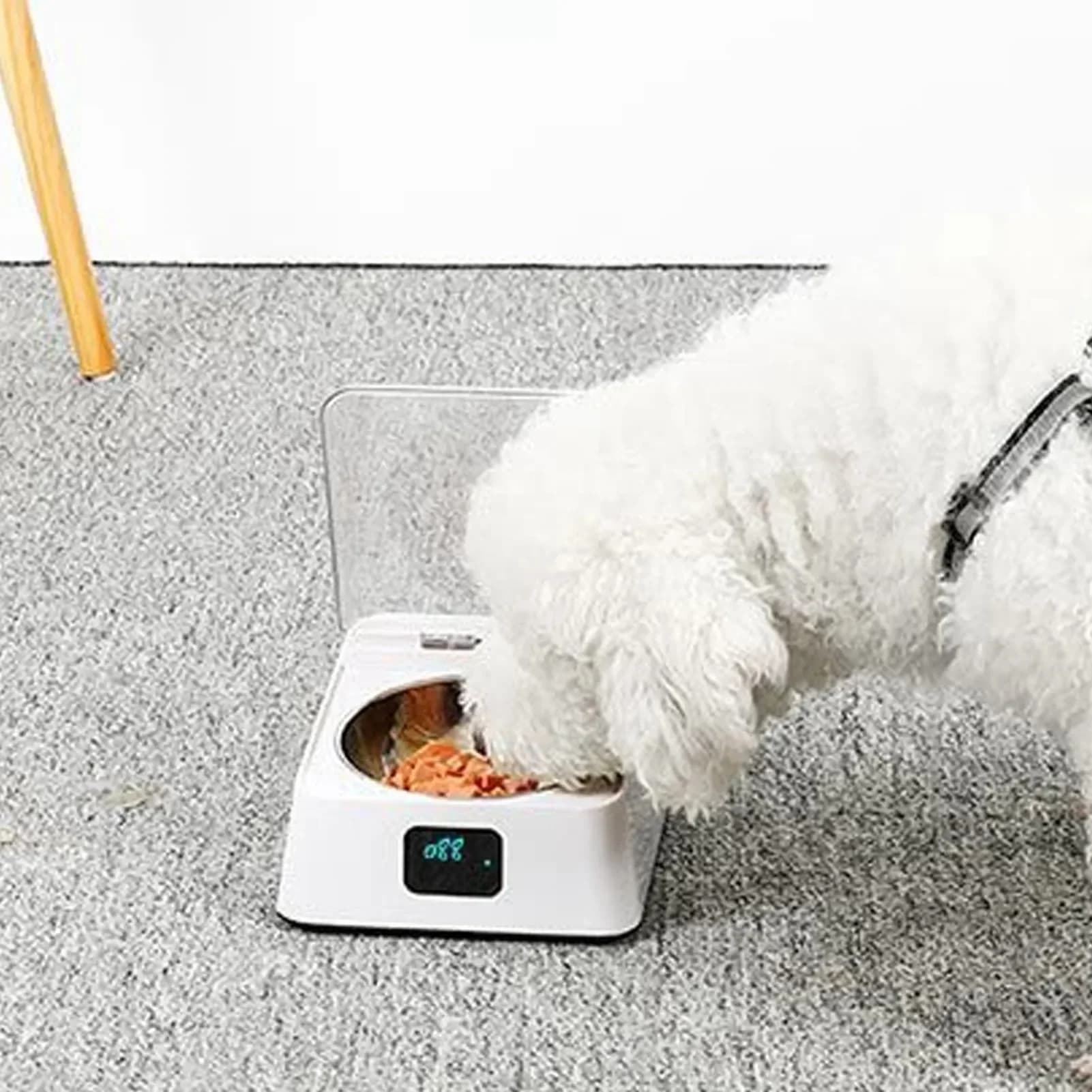 CC-PetPulse Infrared Sensor Smart Pet Food Feeder, Auto Open Cover Cat Feeder Bowl, Moisture Proof Dog Food Water Dispenser