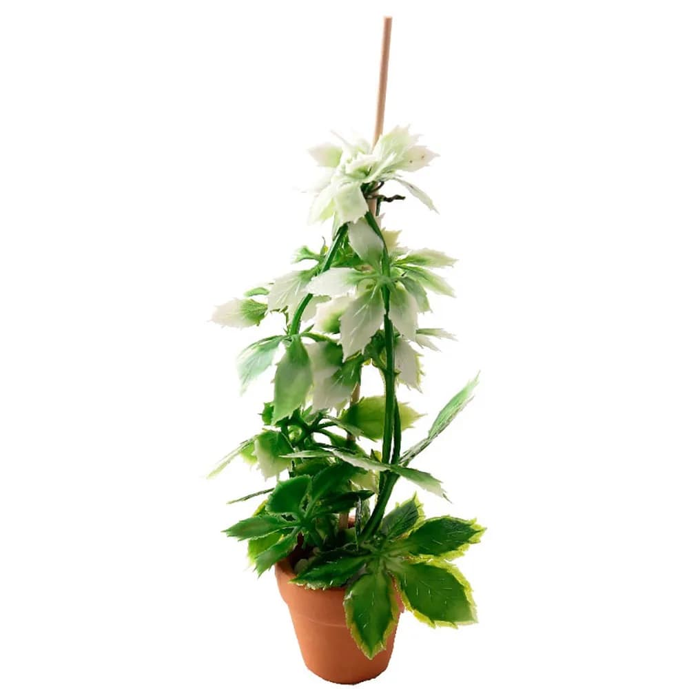 Bonsai in Miniatura 1:12 per Casa delle Bambole, Pianta Verde per Micro Paesaggio, Ornamento per Scenari, Modello per Giardino delle Fate, Mini Pianta in Vaso