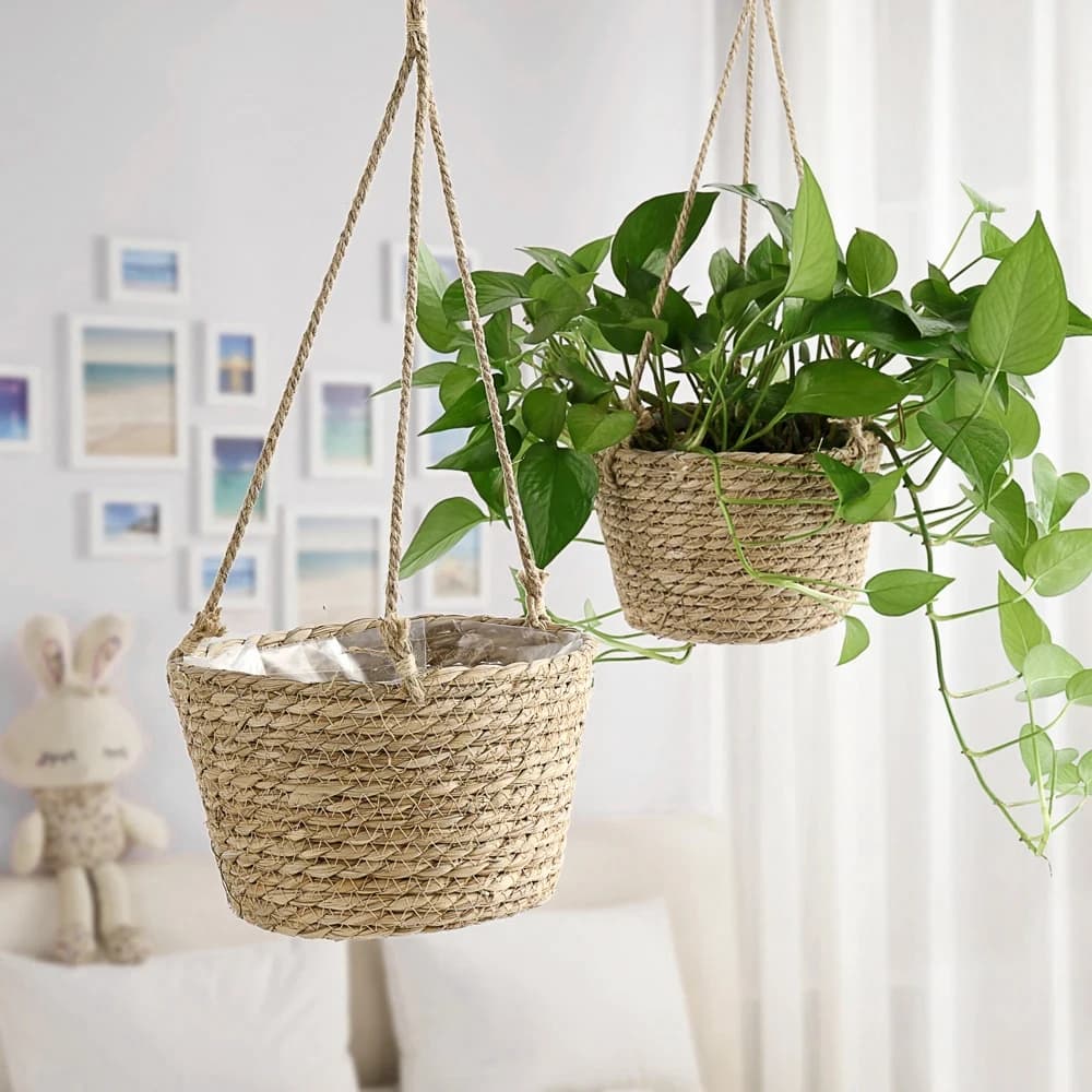 1 Pezzo Cesto Sospeso in Paglia, Fioriera Intrecciata in Corda, Cesto in Rattan, Vaso Sospeso per Orchidee, Contenitore Sospeso