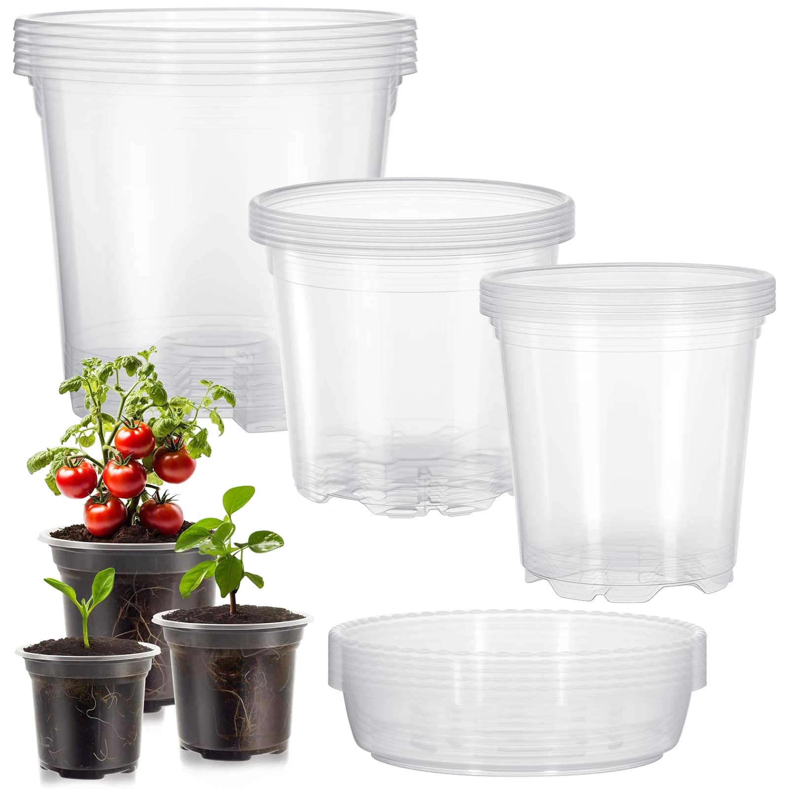 5 set of transparent jars for nursery, transparent plastic planter with drainage holes with flower pot with base seed