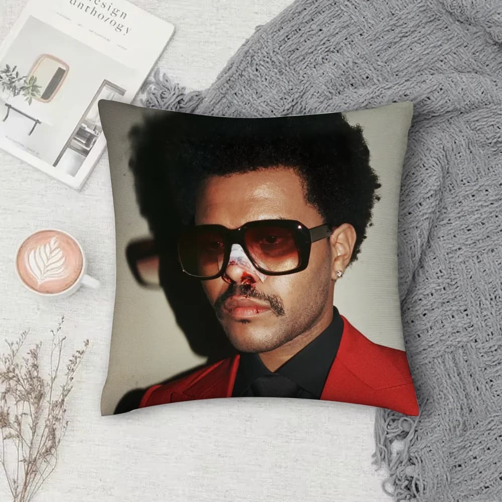 Singer The W-Weekend pillow case, square, with front-back print, in short plush, for sofa and bedroom