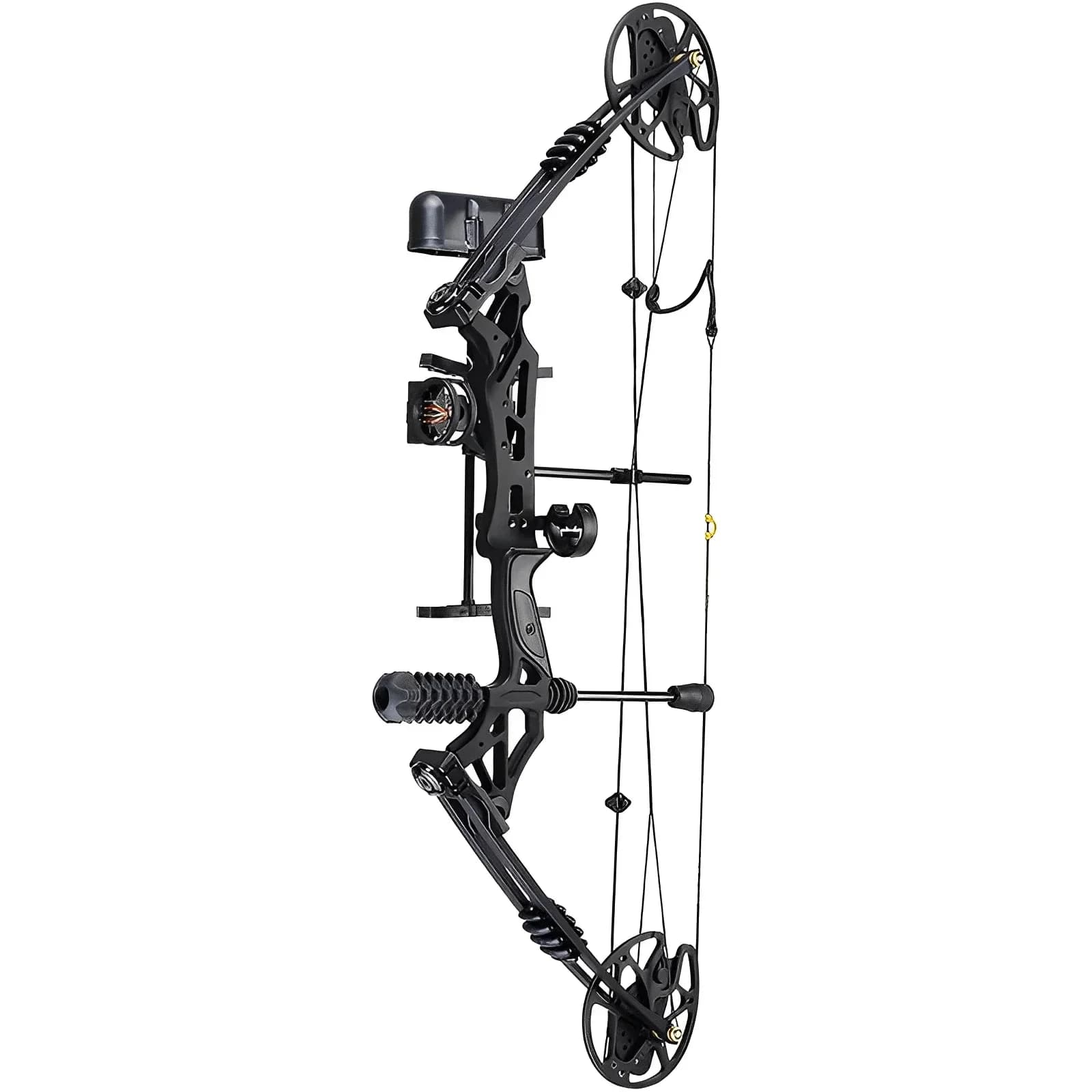 Right/Left Hand Compound Bow Set 30-70lbs Adjustable 320fps Archery Hunting Target Let-Off 80% Bow Riser Aluminum alloy