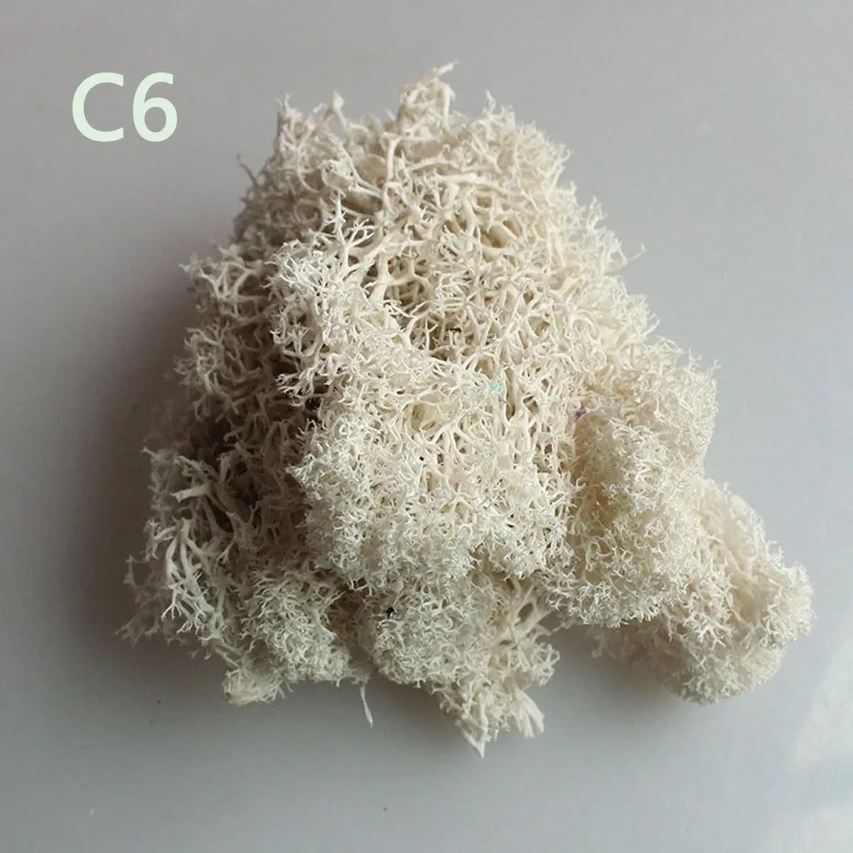 Colorful DIY Home Decor Christmas Flower Wedding Micro Landscape Eternal Life Moss Reindeer Moss Artificial plant