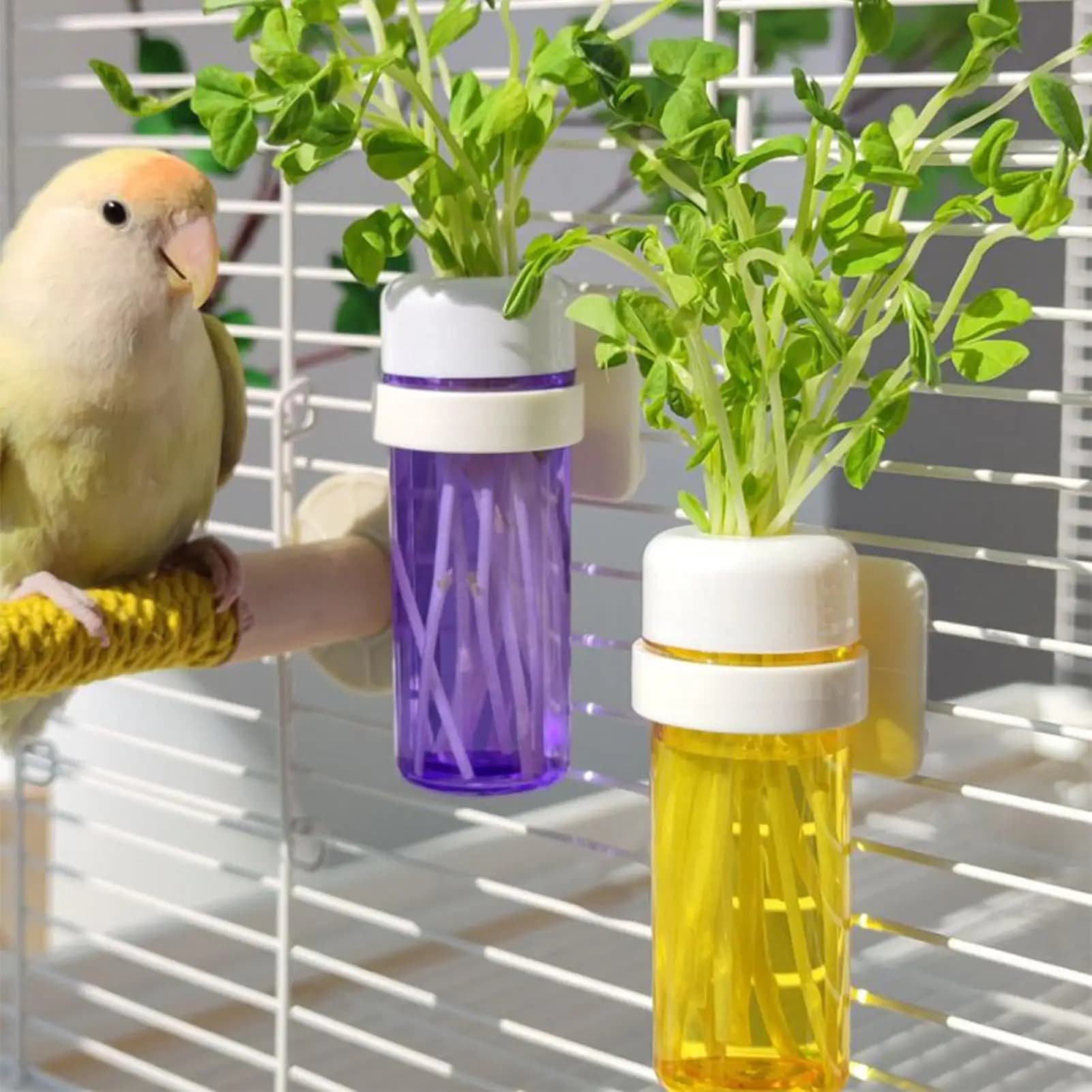 Mangiatoia per verdure per pappagalli, porta verdure per parrocchetti, con design di stoccaggio dell'acqua per gabbia, mantiene le verdure fresche, contenitore per alimenti per uccelli da compagnia
