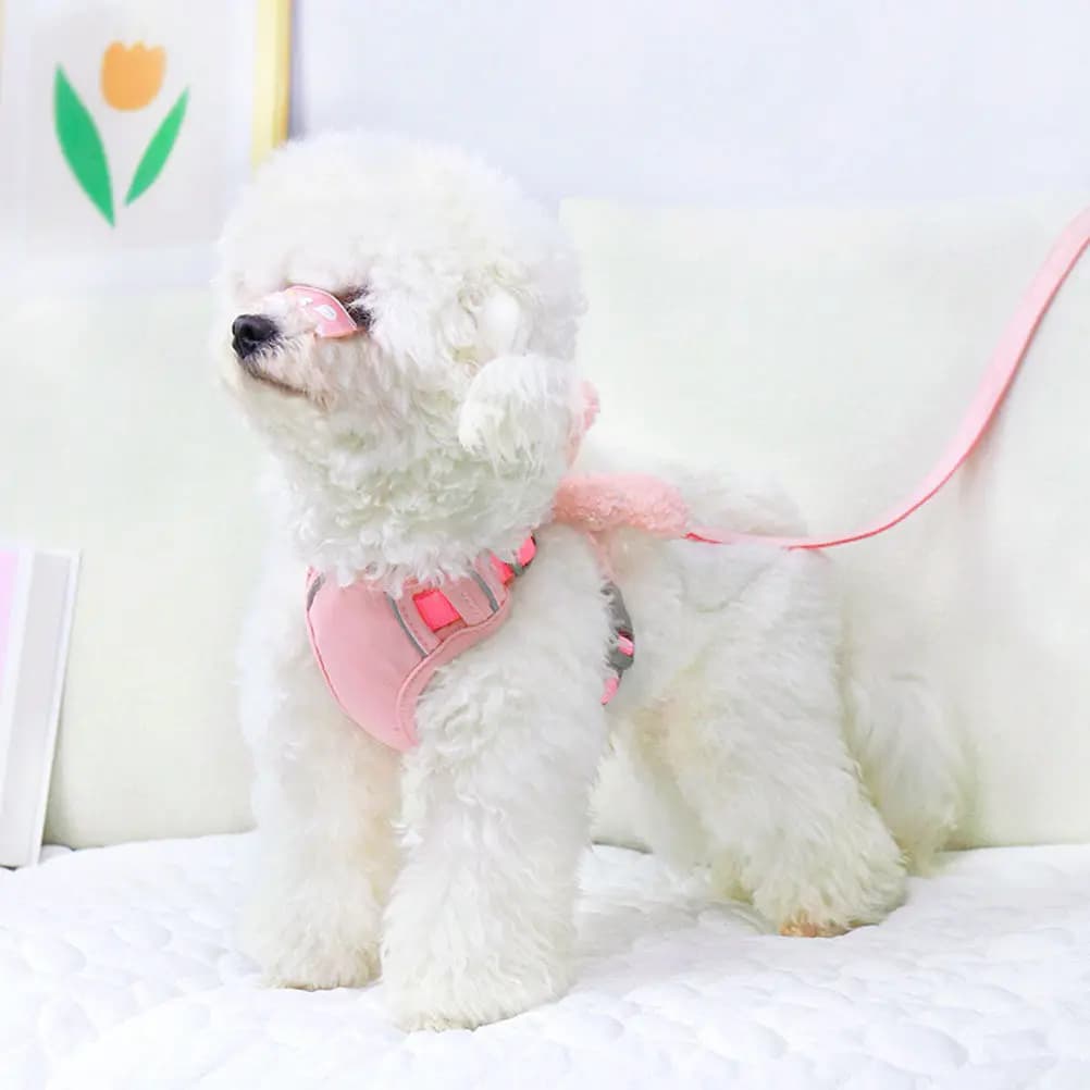 Puppy Training Leash Dog Harnesses for Small Dogs and Rope outside Pet & Leashes