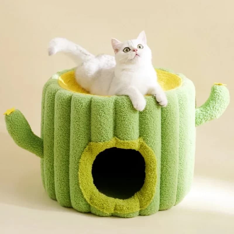 Tiragraffi per casa per gatti Tiragraffi per gatti con cactus Simpatico tiragraffi per gatti Tiragraffi per gatti Tiragraffi per nido da arrampicata Mobili per animali domestici