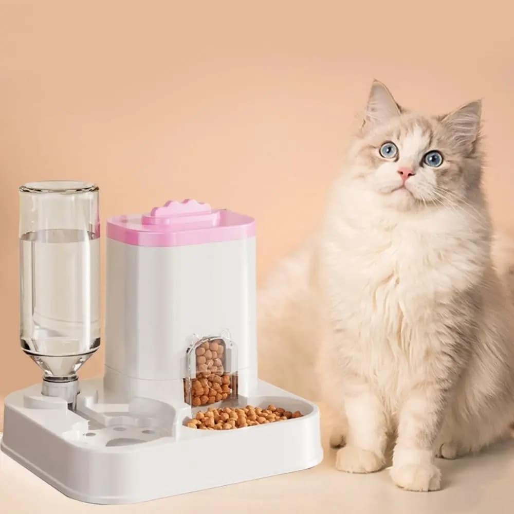 Alimentazione per gatti, forniture per animali domestici, bacino per alimenti, ciotola, utensili per cani, distributore automatico integrato di acqua per gatti