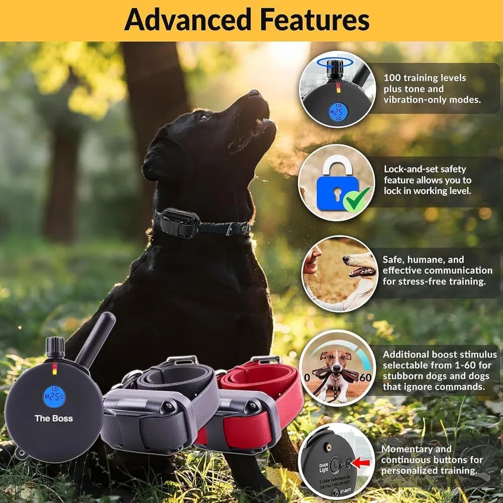Collare di addestramento per cani umano con telecomando, presenta 100 livelli di stimolazione sicura, sensazione di ribaltamento, luce notturna, impermeabile