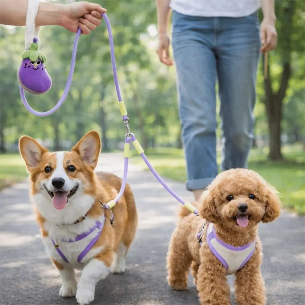 Set Guinzaglio e Pettorina per Cani con Design a Cartone Animato, Doppia Testa, Rete Traspirante, Borsa Portaoggetti a Forma di Melanzana, Imbracatura Morbida Imbottita