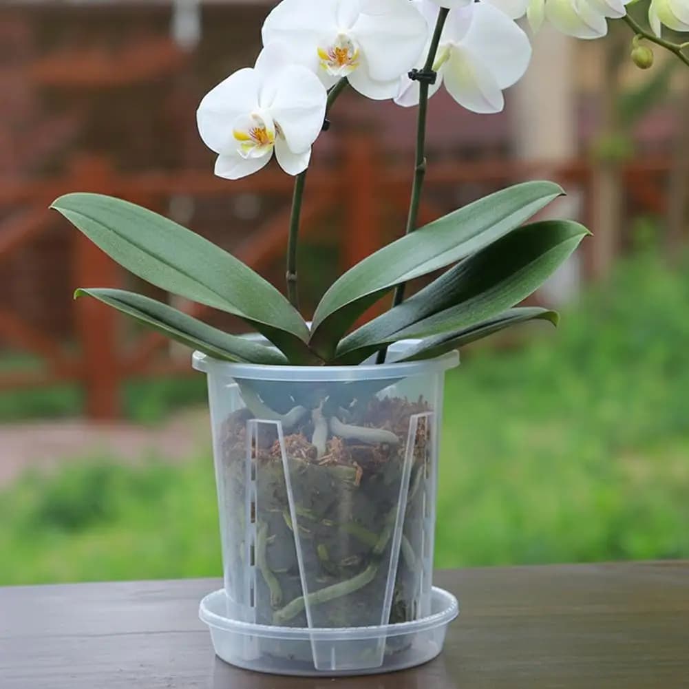 Vaso trasparente per orchidee con fori di drenaggio, vaso per fiori Phalaenopsis con colonna d'aria per prevenire la putrefazione delle radici per piante Seedli M4V6