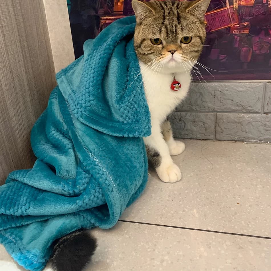 Pet blanket Dog flannel cover Cat blanket Winter Soft and soft Premium Puppy Cat Fleece Towel Sleeping pillow Mat