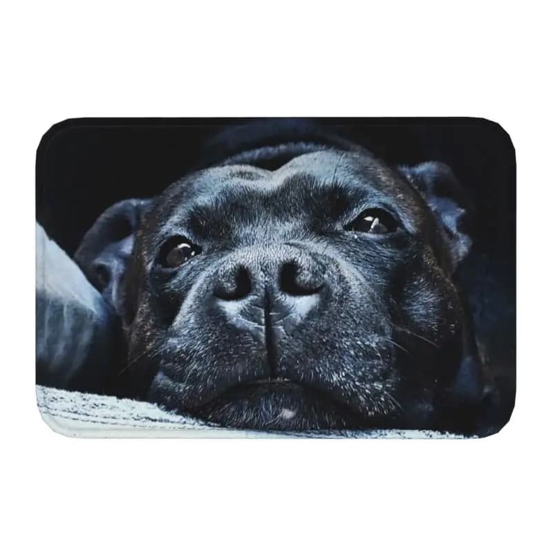 Stafter Bull Terrier zerbino antiscivolo ingresso bagno cucina simpatico cane porta tappetino camera da letto balcone tappeto tappeto