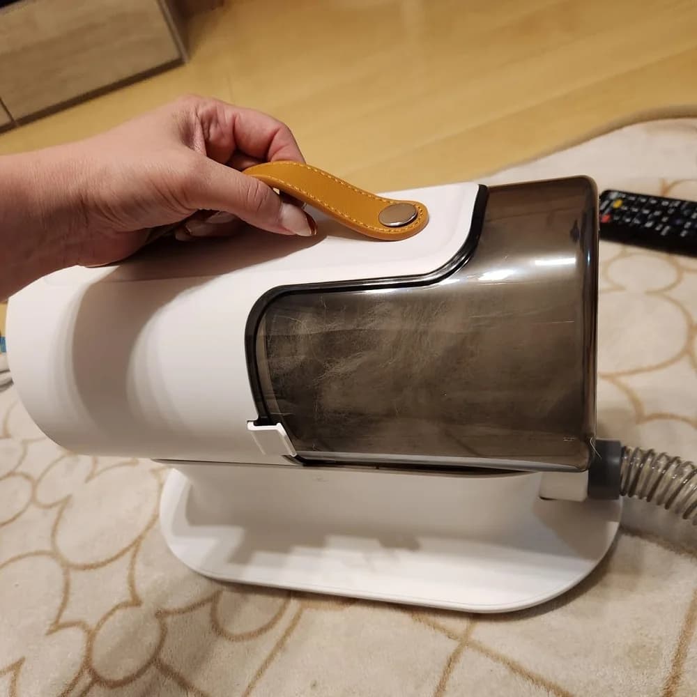Kit di bellezza per fader per taglio di capelli per pulizia di gatti, pettine per rimozione peli di cuccioli, professionale per toelettatura di animali domestici