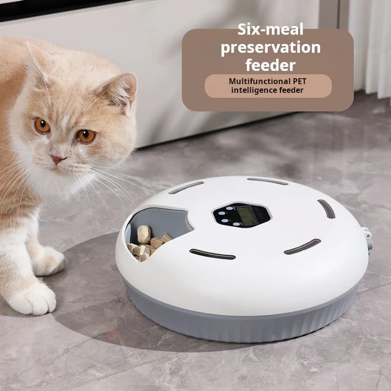 Distributore automatico di alimenti secchi e bagnati per cani da 6 pasti Ciotole per mangimi per animali domestici cronometrate Contenitore refrigerato per alimenti freschi Alimentatore per animali domestici wireless