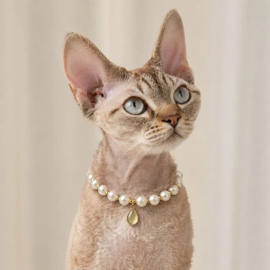 2026 New Pet Light Color Water Drop Gem Necklace Cat Collar Dog Collar Pearl Temperament Ornament Kitten Bi Bear 1PC