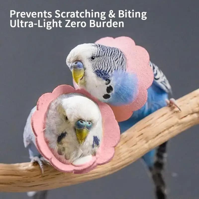 QX2E Multiple Size Recovery Collar for Dog Cats Light weight Washable Protects Wounds