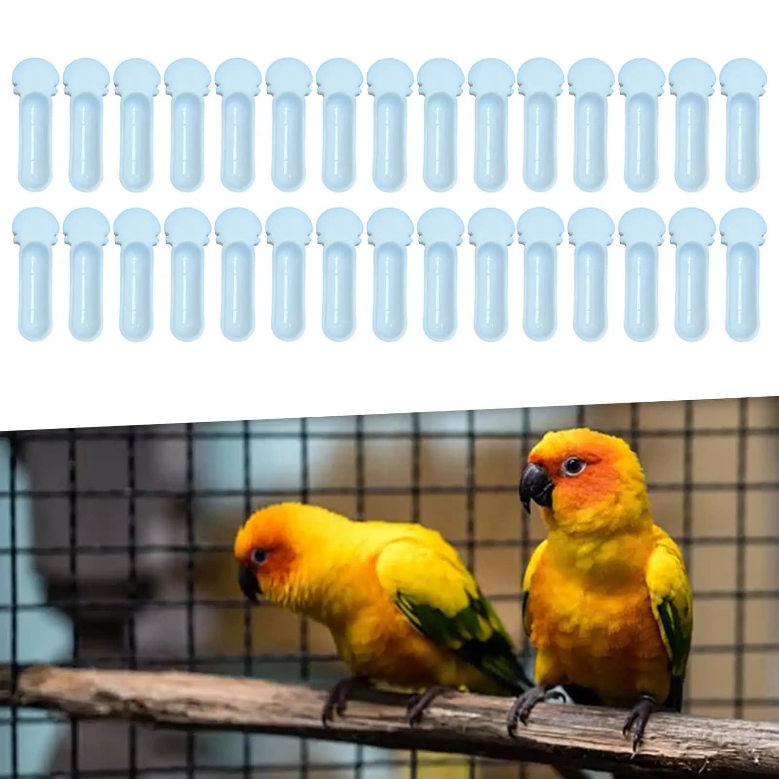 Scatola per l'alimentazione degli uccelli Mangiatoia per uccelli Cestino per la foraggiamento degli uccelli Mangiatoia per acqua riutilizzabile Pollice Contenitore per alimenti per uccelli per regali nel cortile Patio