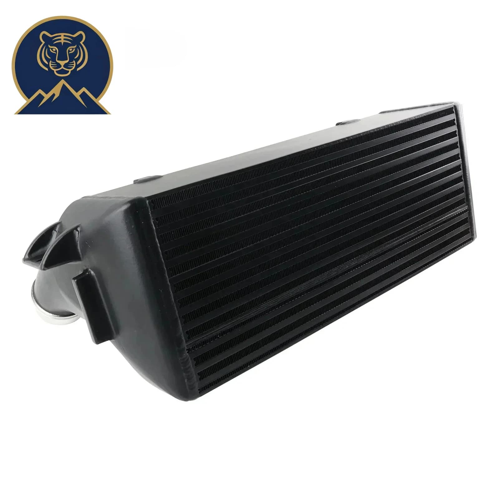 Intercooler plates and bars EVO II black, BMW 1/2/3/4 F20/F22/F32/F34/F36 (118i/125i/228i/328d)