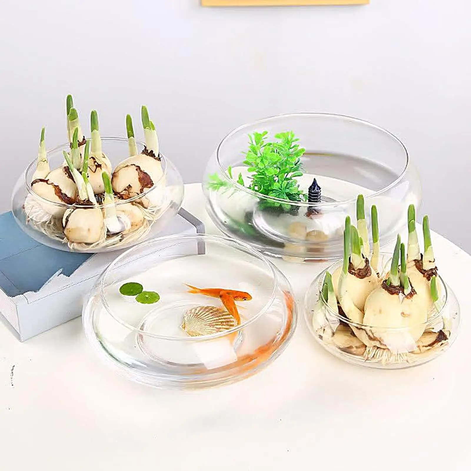 Glass bowl for fish Large jar for hydroponic flowers Bowl for deep round plants Small aquariums Clear bowl for red fish