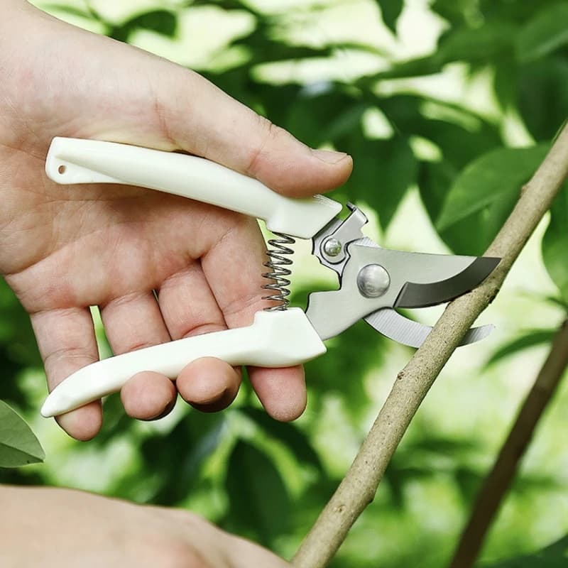 Set completo di attrezzi da giardinaggio per potatura: cesoie a lama dritta, cesoie a gomito, cesoie per la raccolta della frutta, attrezzi manuali a molla