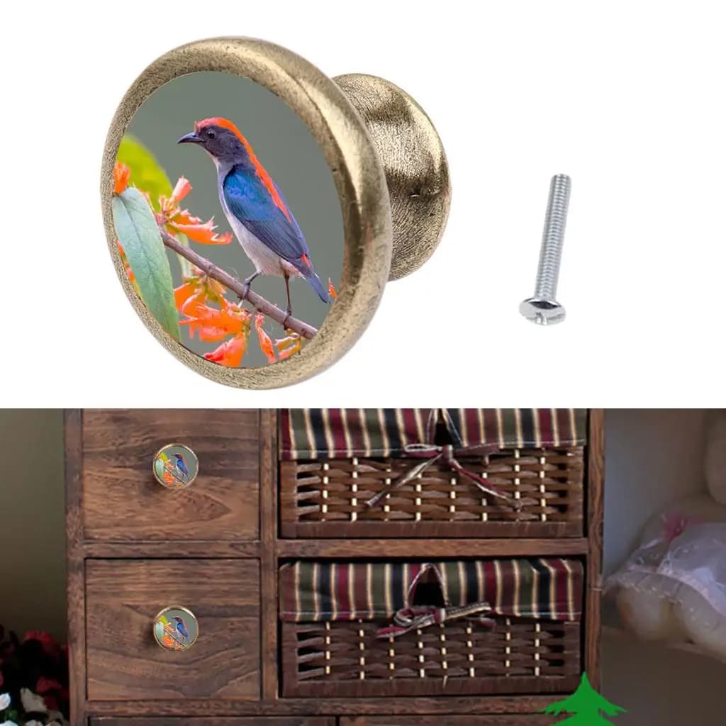 Manopole per armadietti 36 tipo cassetti, armadi da cucina, cassettiere, armadi, guardaroba, maniglie con viti per armadio