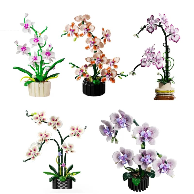 NEW Creative Set of Orchids, Eternal Flowers in Vase, Construction Blocks, Phalaenopsis Simulation, Brick Toy, Valentine's Gift
