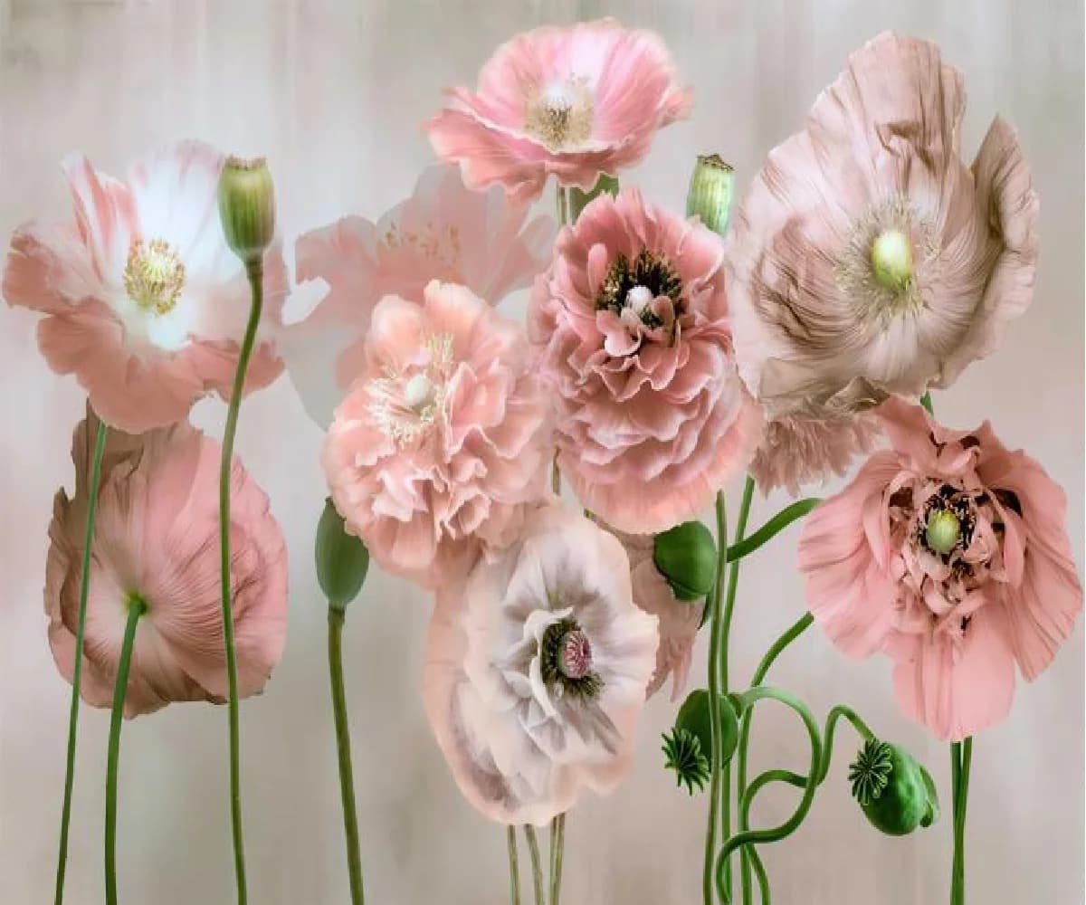 Carta da parati personalizzata con rose e farfalle, nuovo motivo floreale pastorale cinese per soggiorno, camera da letto, sfondo divano, hotel, murale artistico floreale