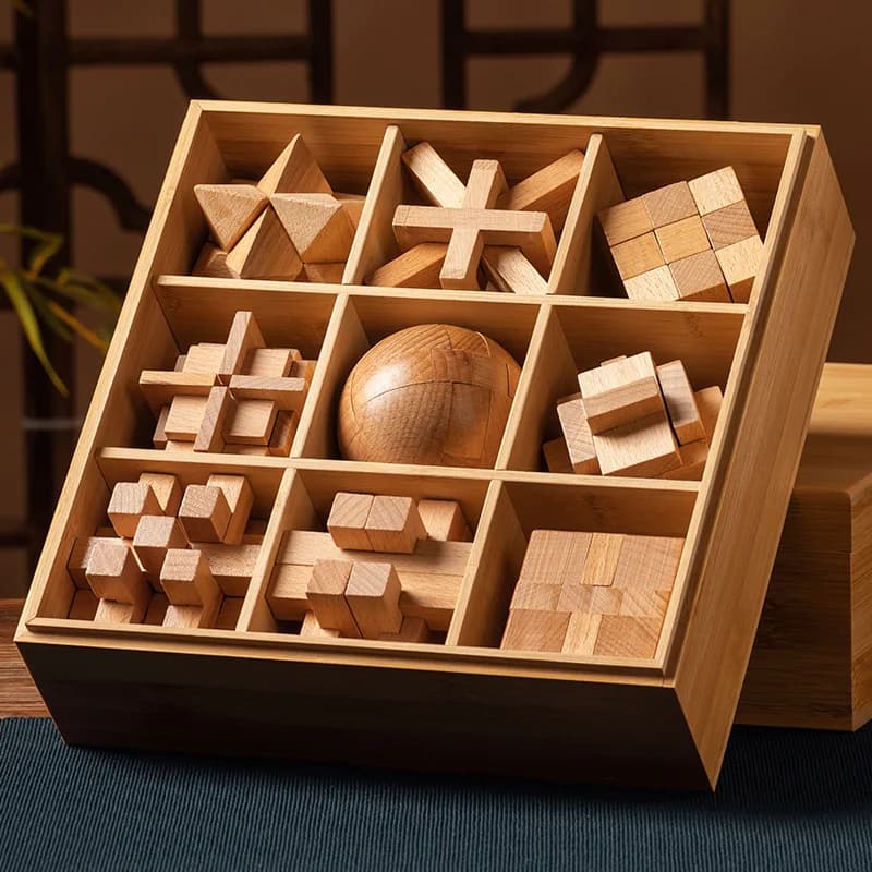 Set Completo di Puzzle Luban Lock con Sistema a Incastro, Gioco Educativo per Scuole Elementari, Giocattolo per Bambini di 6-12 Anni