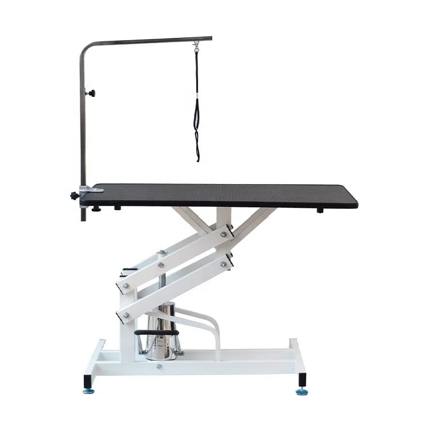 Lize Professional Pet Grooming Table Stainless Steel and Iron Hairdressing Styling Dog & Cat Haircutting Table on Sale!