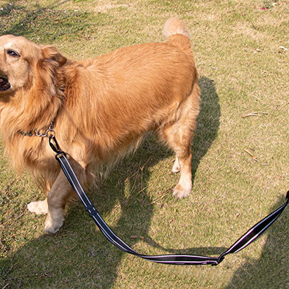 Guinzaglio per Cani a Doppio Strato in Nylon Resistente, Corda da Trazione per Esterni, Resistente all'Usura, per Addestramento Animali Domestici