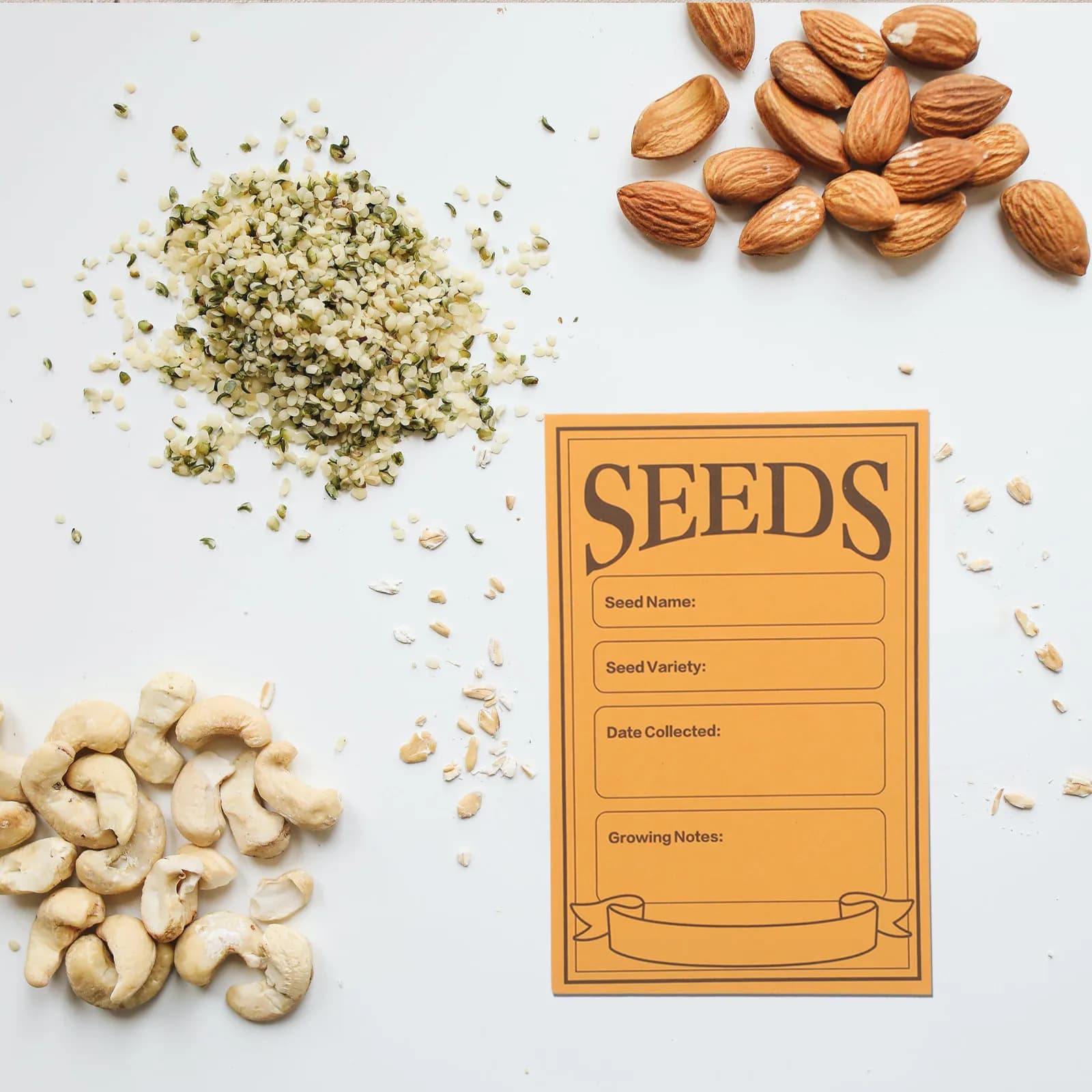 100 Buste Piccole in Carta Kraft Multiuso per Conservazione Semi, Organizzazione e Classificazione di Semi di Fiori, Piante e Verdure