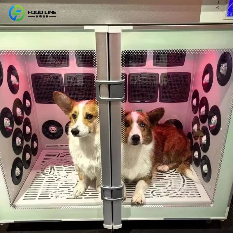 Essiccatore Automatico Professionale per Animali Domestici Multi-scenario: Camera di Asciugatura per Ospedali Veterinari e Saloni di Toelettatura, Personalizzabile