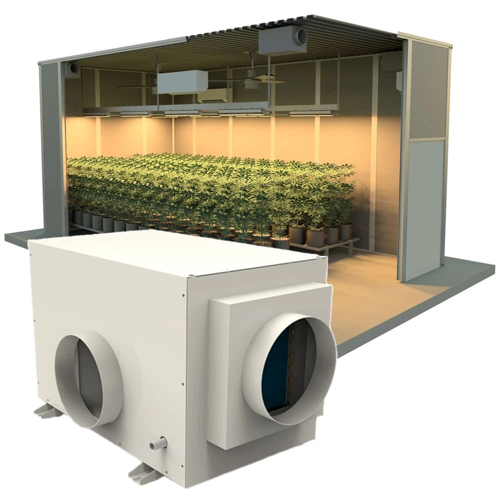 Deumidificatore a compressore montato a parete da 50 l/giorno