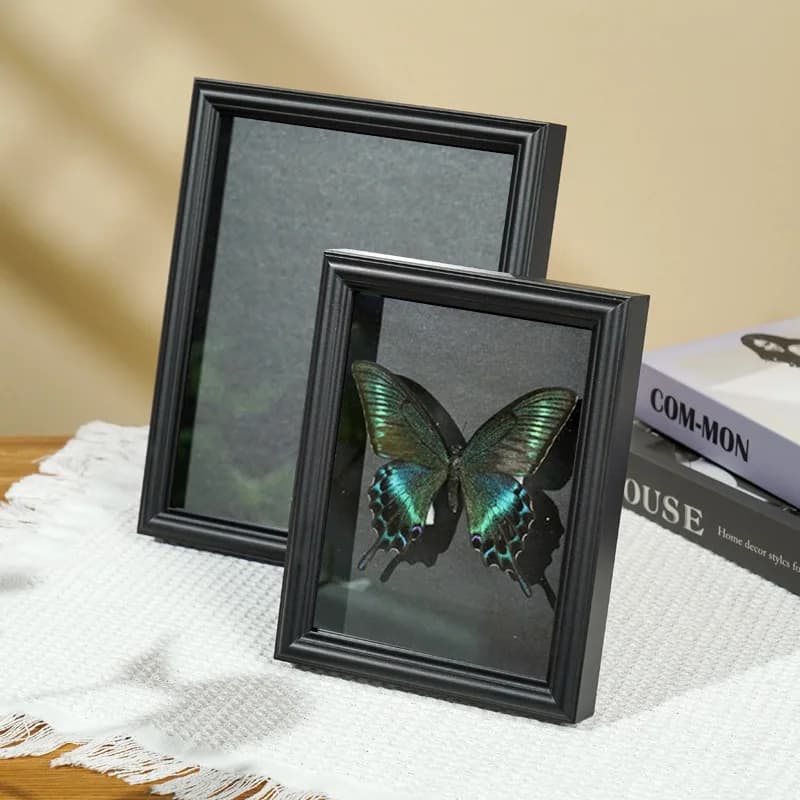 Retro European Specimen Picture Frame 6 Inch DIY Hollow 3D Wooden Display Stand Square Studio Photo Frame