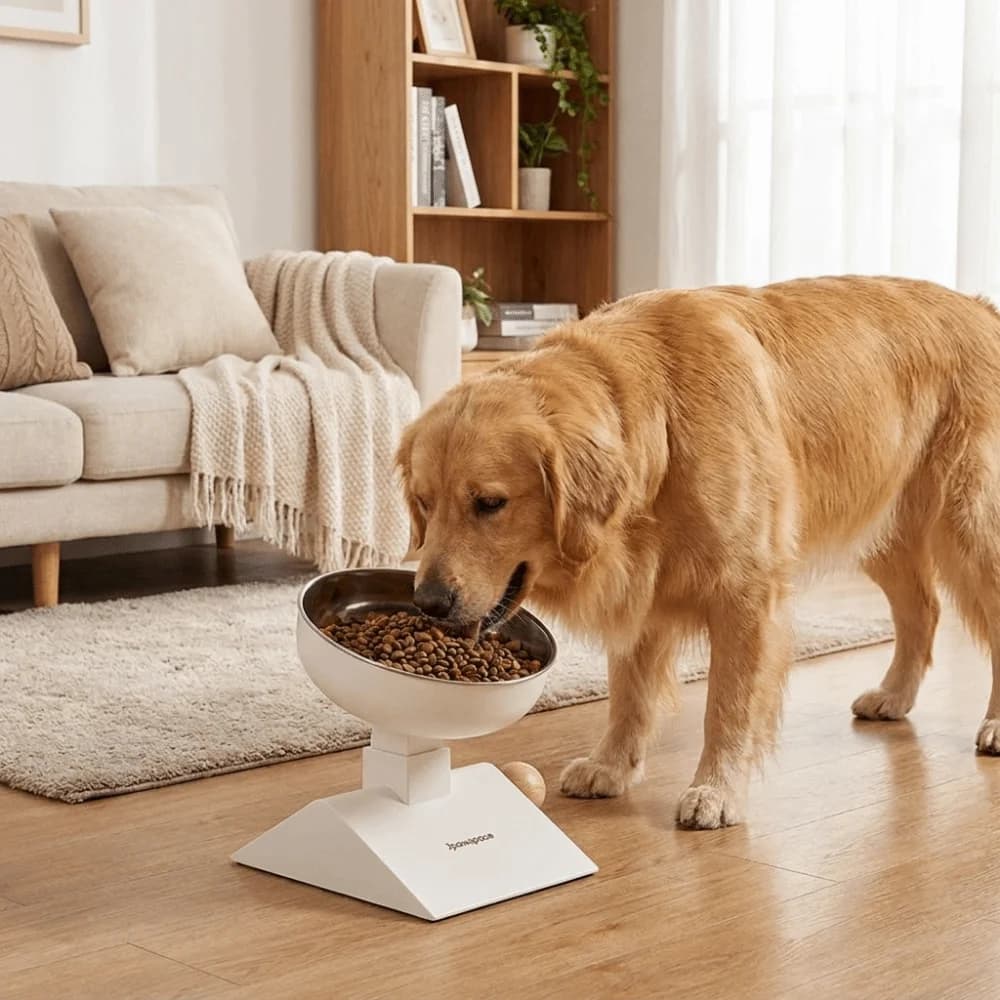 Stainless Steel Adjustable Height Cat Food Bowl Large Capacity Neck Protection Pet Feeder Bowl 750 ML Anti-spill Pet Water Bowl
