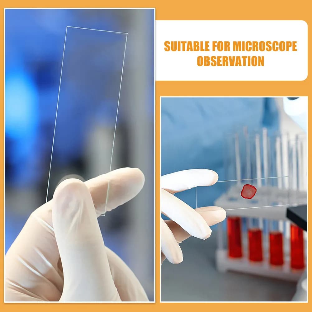 50 Pezzi di Vetrini per Microscopio in Vetro con Bordi Lisci per Educazione Biologica, Laboratorio Scientifico e Osservazione Ottica