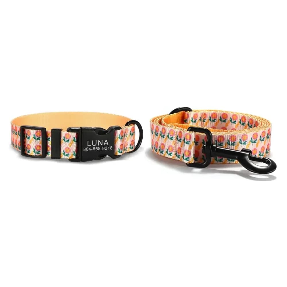 Collare per cani personalizzato con incisione gratuita, guinzaglio per animali abbinato, fibbia per contatti personalizzati, collare per animali domestici per gatti arancione
