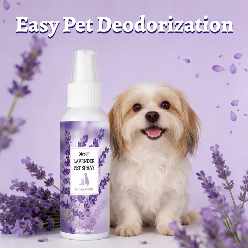 Profumo Spray per Animali Domestici alla Lavanda, a Base Vegetale, Lunga Durata, Idratante, Ammorbidente, Deodorante per la Toelettatura di Cani e Gatti