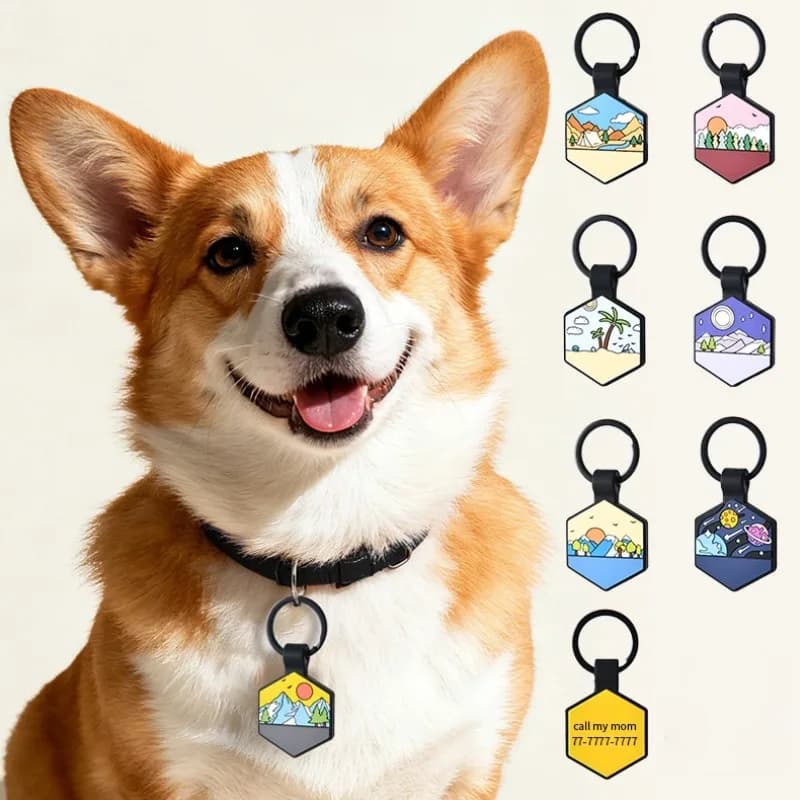 NEW Silicone Hexagon Domestic Animal Label Anti-Lost Puppy Collar for Puppy Dog Collar Tag Name Custom Dog Accessories Tag ID Pet Custom Pendant
