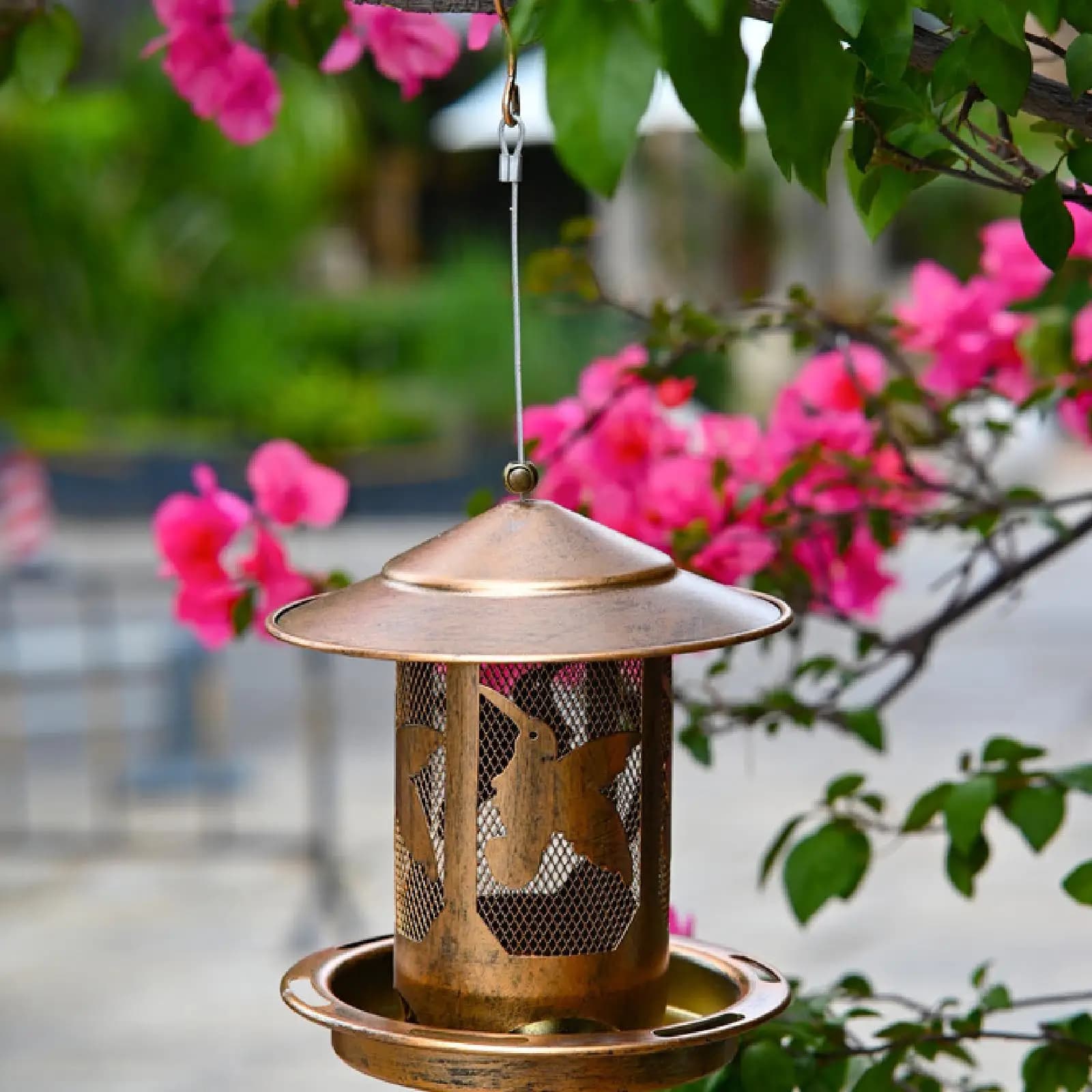 Hanging bird feeder, bird food container, feeding ornament for , yard, outdoor