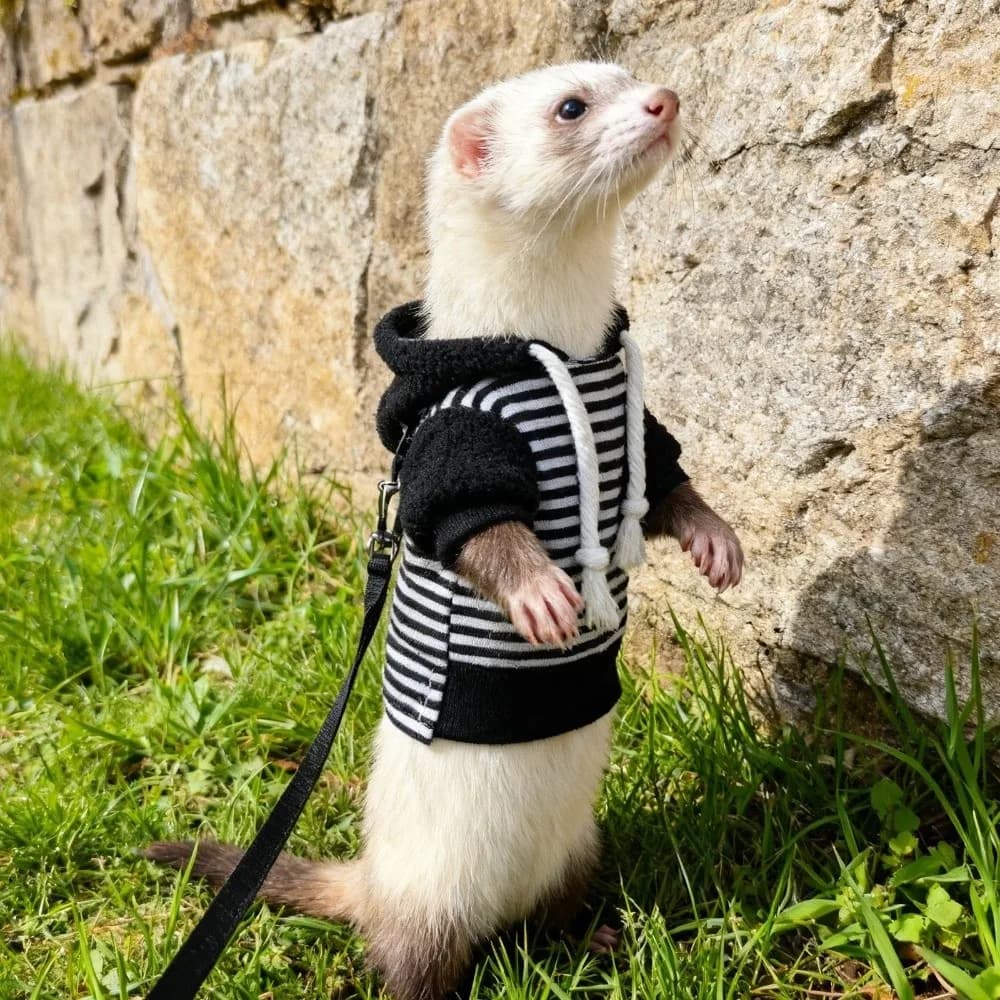 Giacca da lucertola Felpa con cappuccio con furetto elastico Felpa morbida e accogliente a righe per animali domestici in pile spesso Cappotto per criceti con coulisse elegante Festa quotidiana