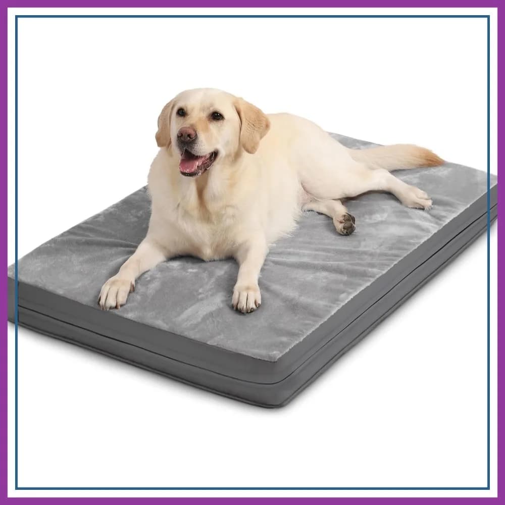 Cuccia impermeabile XXL per cani di taglia grande, materassino lavabile da esterno da 54 pollici, cuccia in schiuma jumbo con rivestimento rimovibile, materassino antiscivolo per cuccia 53x36 grigio