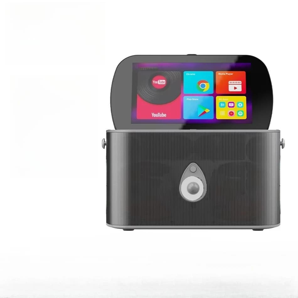 Altoparlante LED USB BT ad alta potenza con funzione karaoke e schermo di proiezione wireless